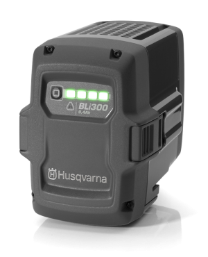 BATTERIE INTEGREE BLI300